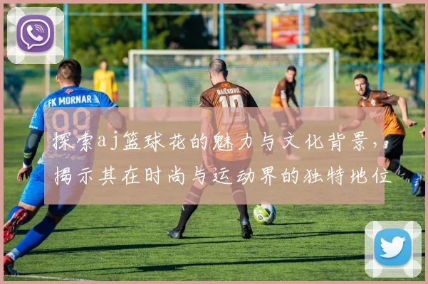 探索aj篮球花的魅力与文化背景，揭示其在时尚与运动界的独特地位