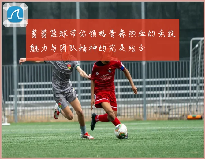 酱酱篮球带你领略青春热血的竞技魅力与团队精神的完美结合