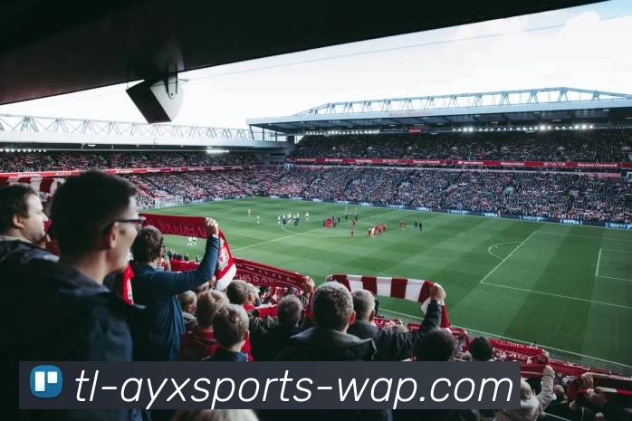 ayx sports品牌故事